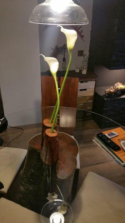 BorredáPiso Diseno Rustico 4 Plazas Con Vistasアパートメント エクステリア 写真